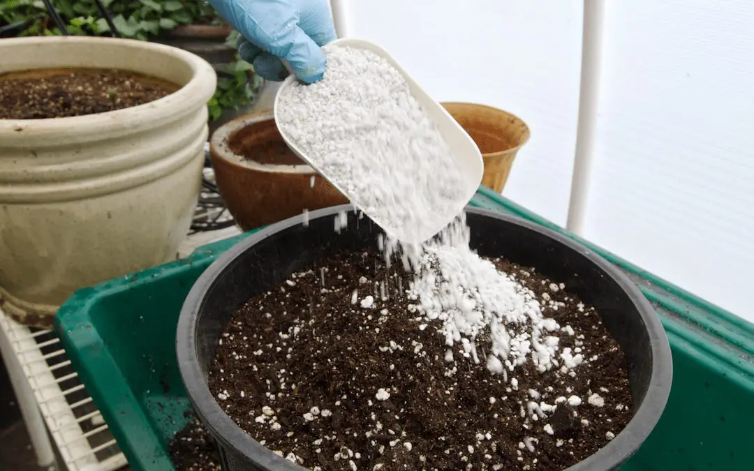 use of perlite