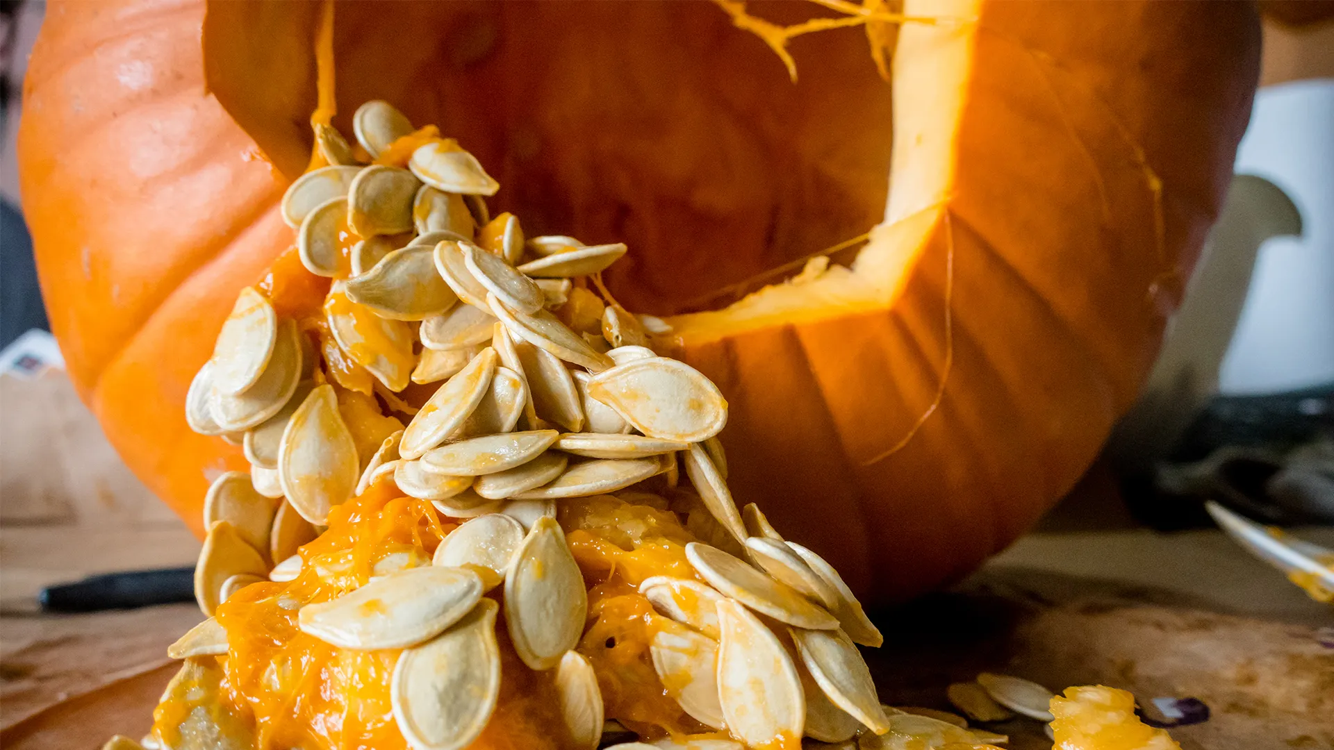 how to save pumpkin seeds for planting